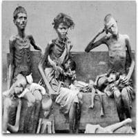 World food shortage World food shortage